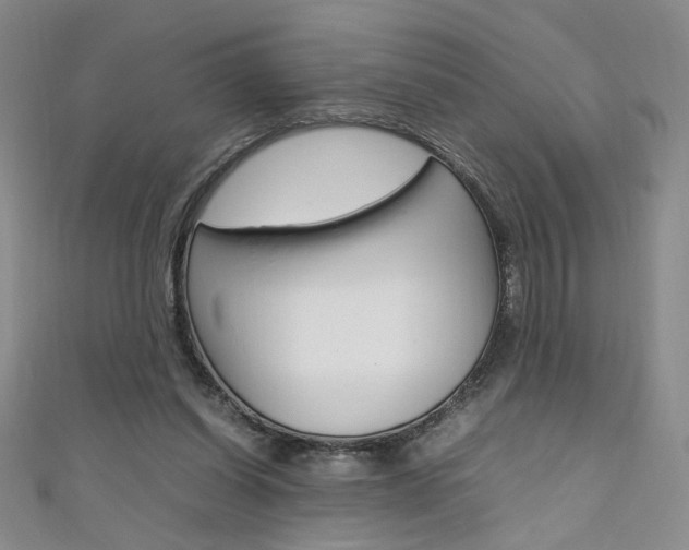 X0000111650254200907171105
