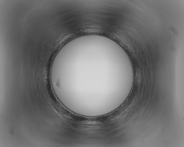 X0000111650255200907171105