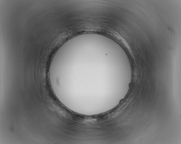X0000111650257200907171105
