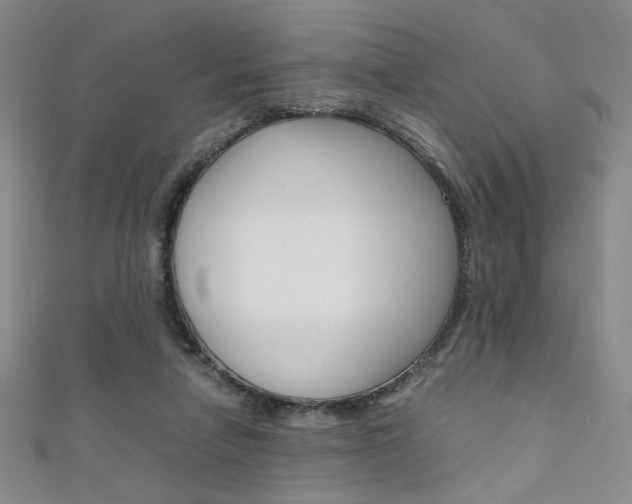 X0000111650258200907171105
