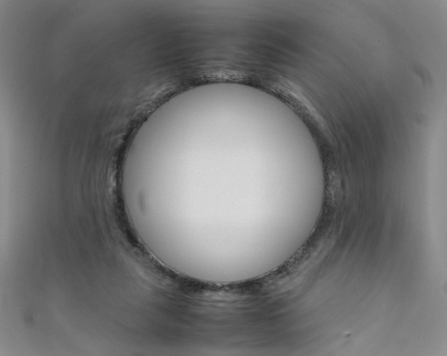 X0000111650259200907171105