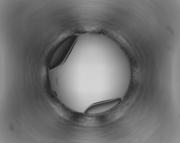 X0000111650260200907171105