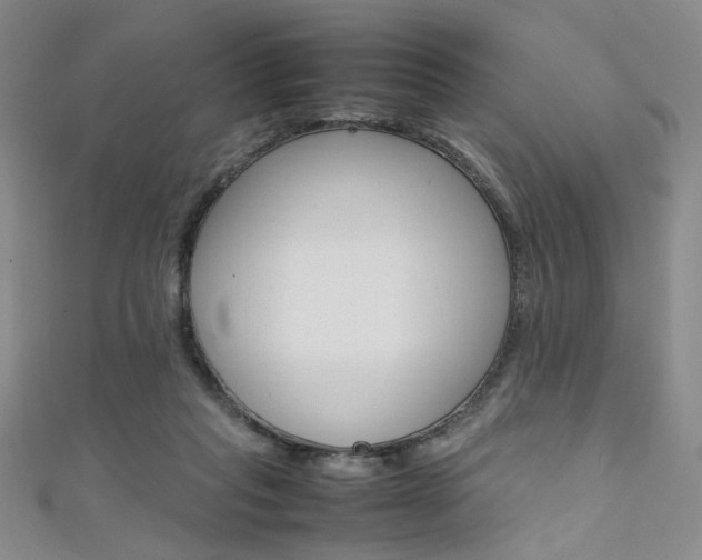 X0000111650261200907171105