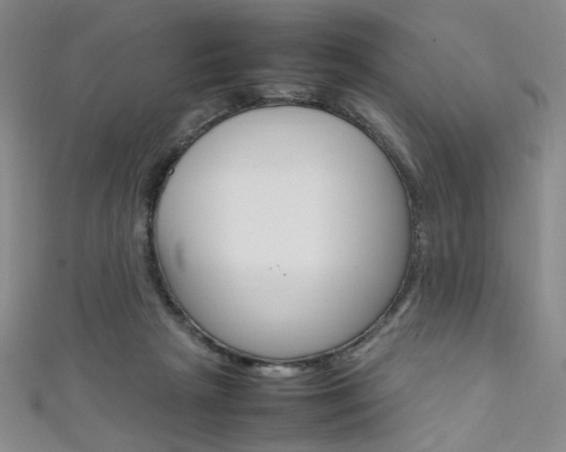 X0000111650265200907171105