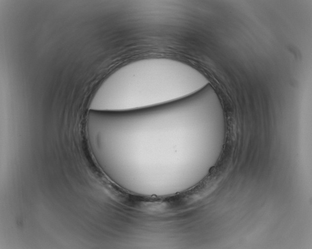 X0000111650266200907171105