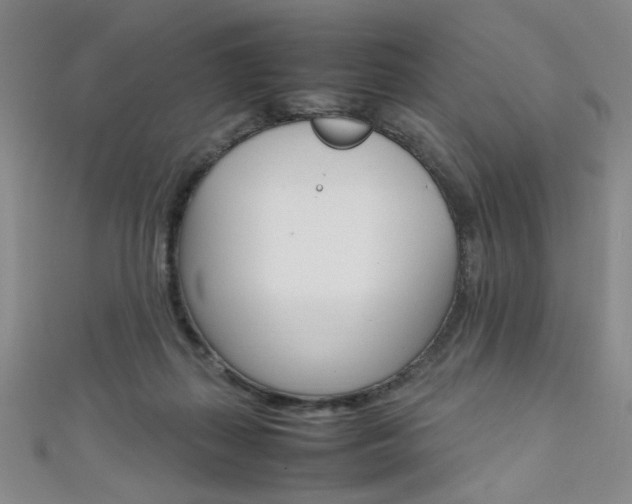 X0000111650267200907171105