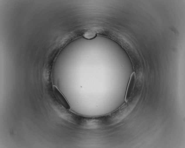 X0000111650268200907171105