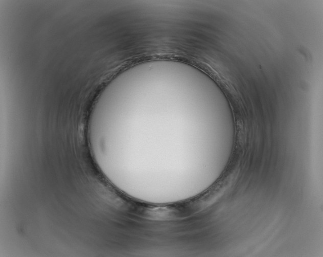 X0000111650269200907171105