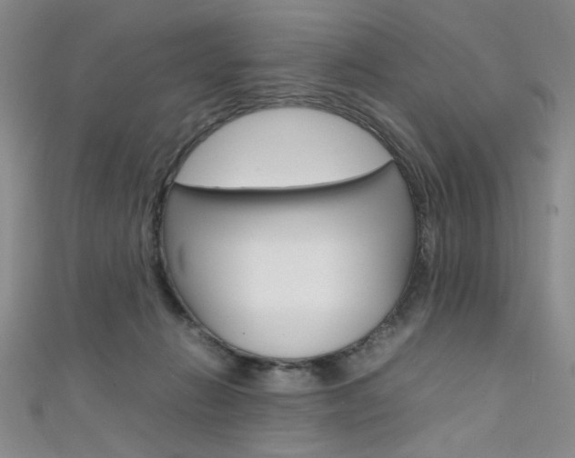 X0000111650270200907171105