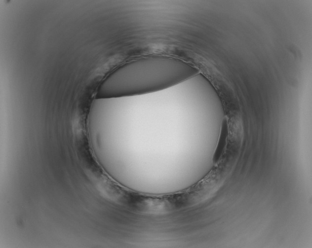 X0000111650272200907171105
