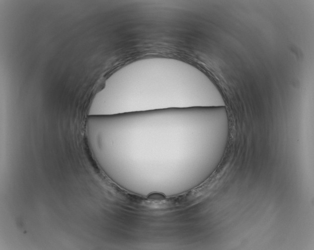 X0000111650273200907171105
