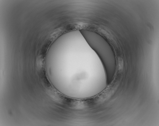 X0000111650276200907171105
