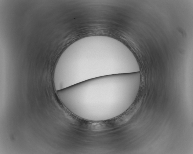 X0000111650277200907171105