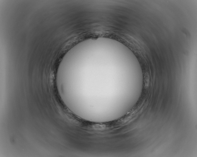 X0000111650279200907171105