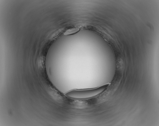 X0000111650280200907171105