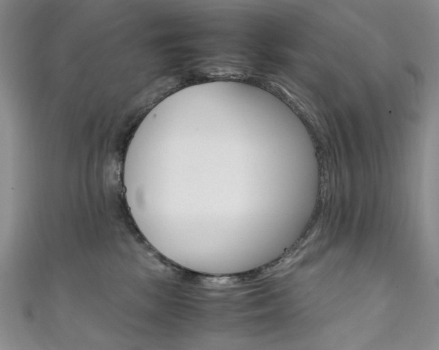 X0000111650281200907171105