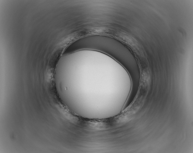 X0000111650284200907171105