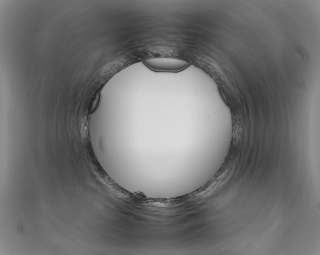 X0000111650285200907171105