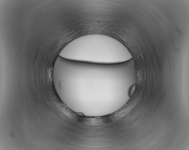 X0000111650286200907171105