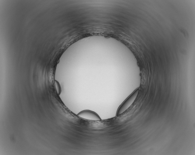 X0000111650287200907171105