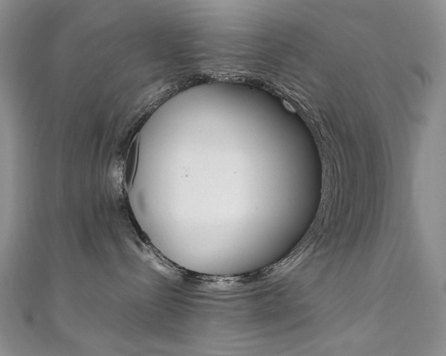 X0000111650288200907171105