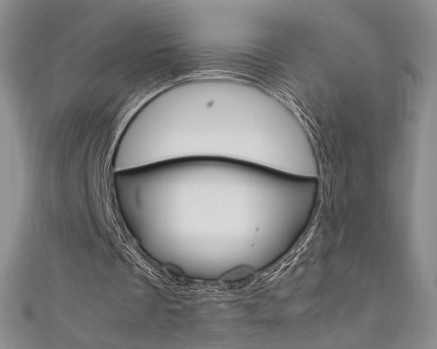 X0000111650289200907171105