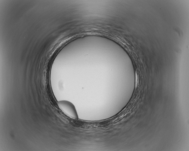 X0000111650291200907171105