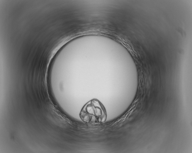 X0000111650292200907171105