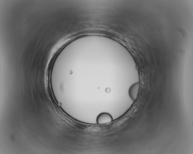 X0000111650294200907171105