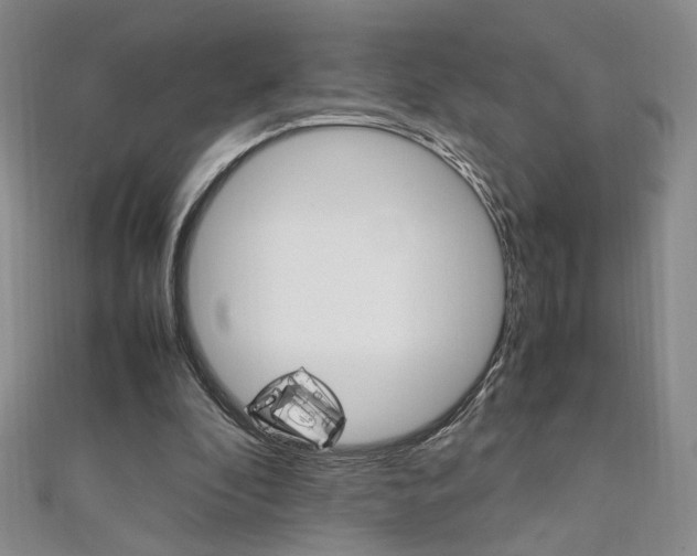 X0000111650296200907171105