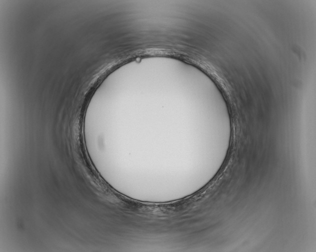X0000111650297200907171104