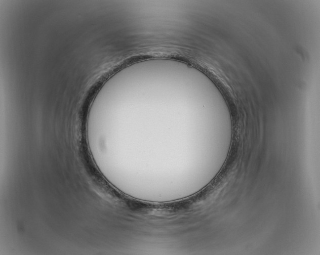 X0000111650303200907171104