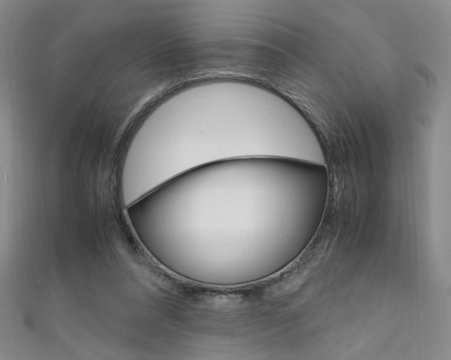 X0000111650304200907171104