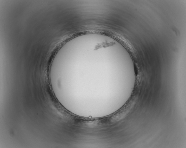X0000111650306200907171104