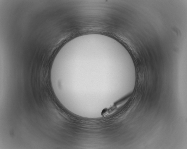 X0000111650308200907171104