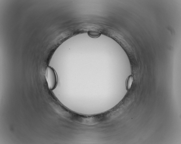 X0000111650309200907171104