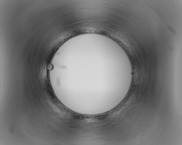 X0000111650310200907171104