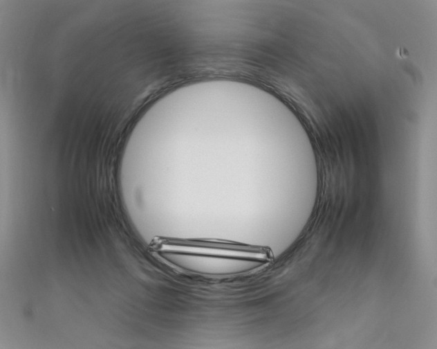X0000111650312200907171104