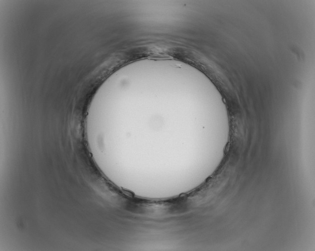 X0000111650313200907171104