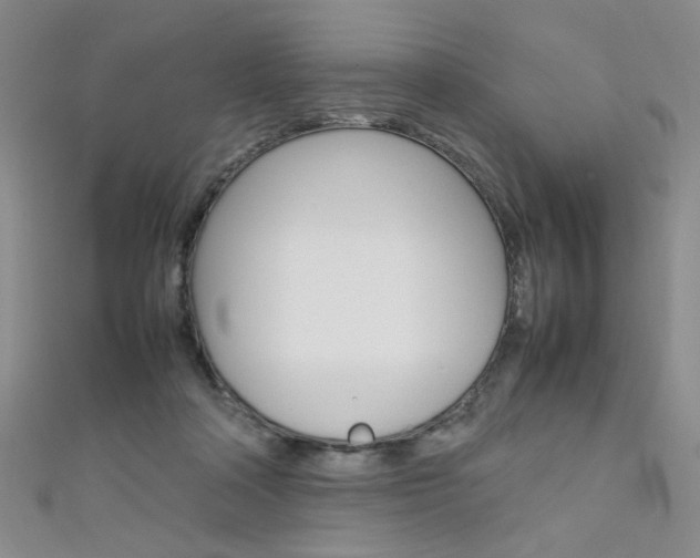 X0000111650314200907171104