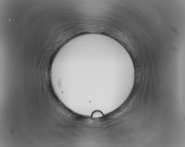 X0000111650317200907171104