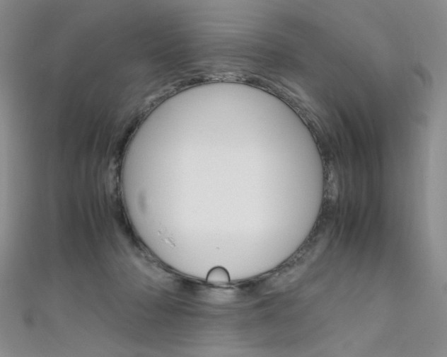 X0000111650318200907171104