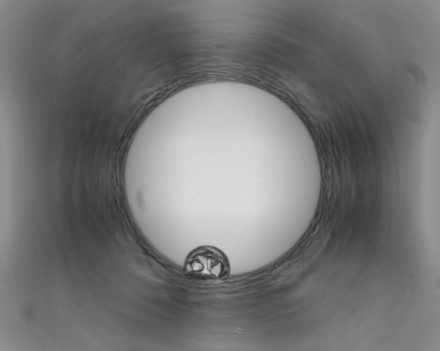 X0000111650320200907171104