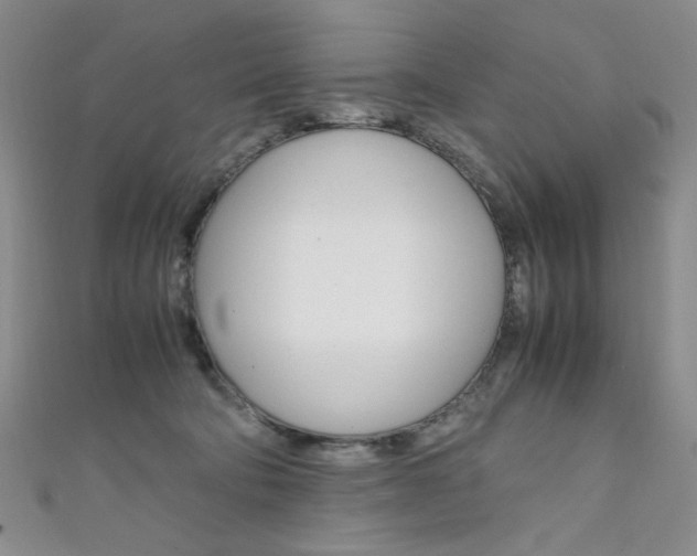 X0000111650322200907171104
