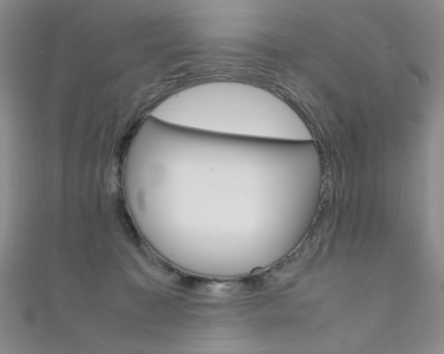 X0000111650323200907171104