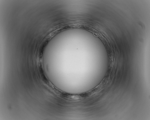 X0000111650324200907171104