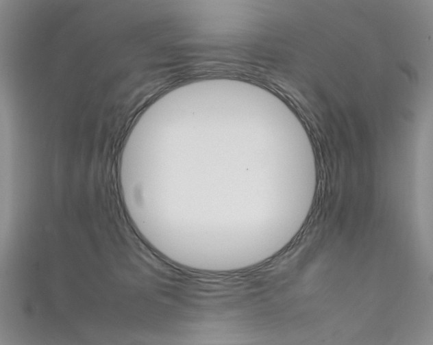 X0000111650325200907171104