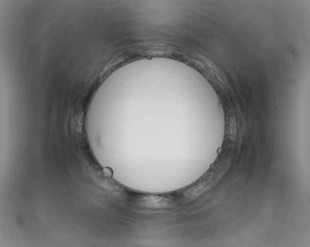 X0000111650326200907171104