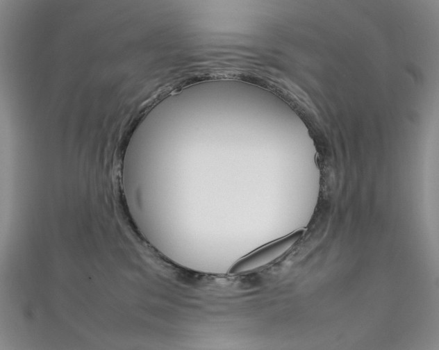X0000111650329200907171104