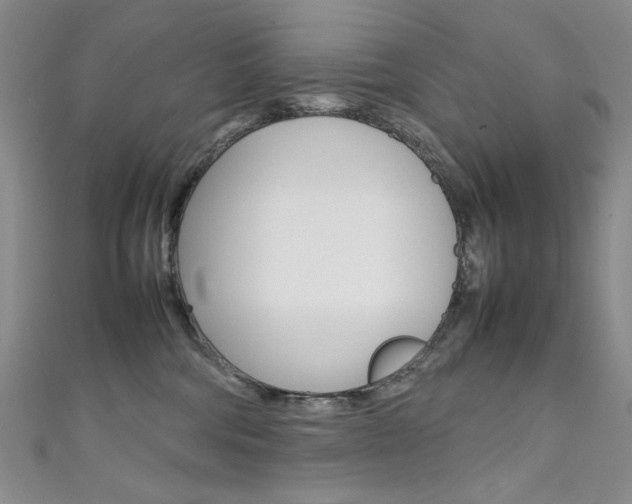 X0000111650330200907171104